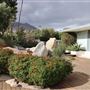 Frederick Loewe Estate