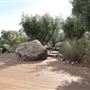 Frederick Loewe Estate