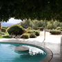 Frederick Loewe Estate