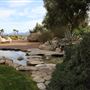 Frederick Loewe Estate