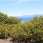 Kings Beach State Recreation Area (SRA)