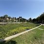Echo Park Lake Recreation Center