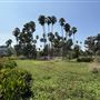 Echo Park Lake Recreation Center