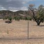 The Ranch