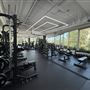 Revision Fitness and Wellness Club