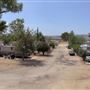 Wee Vill Market in Winterhaven RV Park