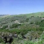 Jalama Road