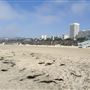 Santa Monica State Beach (SB) / Pacific Park Santa Monica Pier