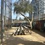 Syd Kronenthal Park