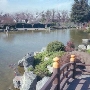 Japanese Friendship Tea Garden @ Kelley Park