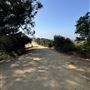 Elysian Park - Angels Point