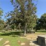 Elysian Park - Angels Point