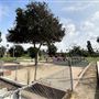 Edward Vincent Park