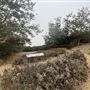 Baldwin Hills Scenic Overlook State Park (SP)