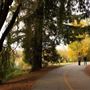 Spring Lake Regional Park