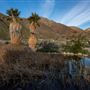 Anza-Borrego Desert State Park (SP)