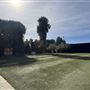 Hollywood Forever Cemetery
