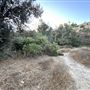 Serrania Park