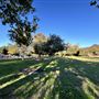 Serrania Park