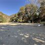 Camp Williams Resort