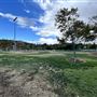 Central Park