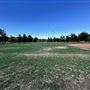 Central Park