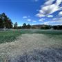 Central Park
