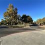 Central Park