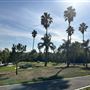 Ken Malloy Harbor Regional Park & Machado Lake