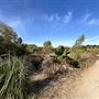 Ken Malloy Harbor Regional Park & Machado Lake