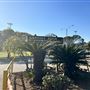 Cheviot Hills Park