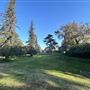 Cheviot Hills Park