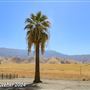 Tejon Ranch