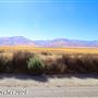 Tejon Ranch