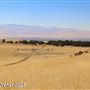 Tejon Ranch