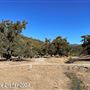 Tejon Ranch