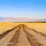 Tejon Ranch