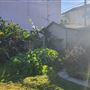 Front yard in quiet Long Beach Neighborhood