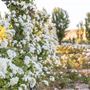 Garden Valley Ranch