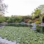 Garden Valley Ranch