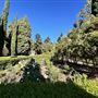 Wattles Mansion & Gardens
