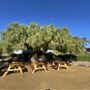 Windrose Ranch