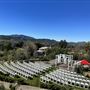 Windrose Ranch