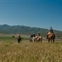 Rankin Ranch - California Cattle & Guest Ranch