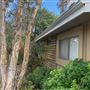 Woodland Hills Mid Century House