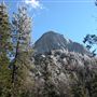 Idyllwild