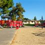Placentia