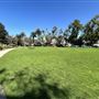 Garfield Park