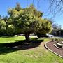 Garfield Park
