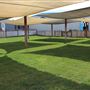 Skydive California